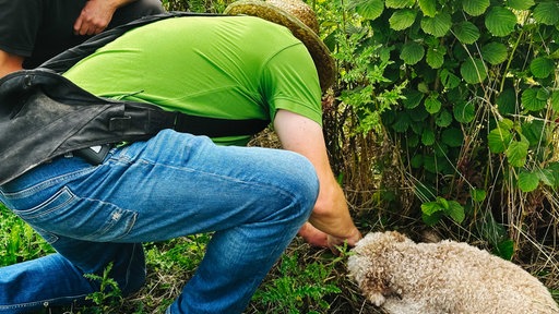 Burkhard Kleffemann kniet auf dem Feld, seine Hände in der Erde, rechts daneben liegt Hündin Betty und schnüffelt.