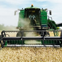 Ein Landwirt sitzt auf einem Mähdrescher und erntet den Weizen auf einem Feld.
