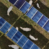 Reihen von Solarpanelen 