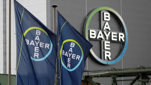 Logo der Bayer AG, ein blau-gelber Kreis, in dessen Mitte steht zweimal Bayer in weißer Schrift in Form eines Kreuzes übereinander gelegt