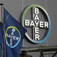 Logo der Bayer AG, ein blau-gelber Kreis, in dessen Mitte steht zweimal Bayer in weißer Schrift in Form eines Kreuzes übereinander gelegt