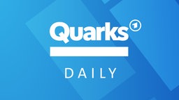 Das Coverbild des Quarks Daily Podcasts.