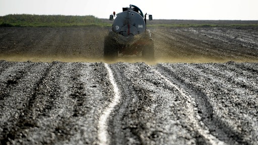 Jauche wird auf Feld verspritzt