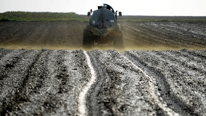 Jauche wird auf Feld verspritzt